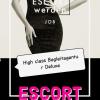 Escort Job - Escort werden bei High Class Begleitagentur Deluxe  - Sexangebot Erotik Job`s